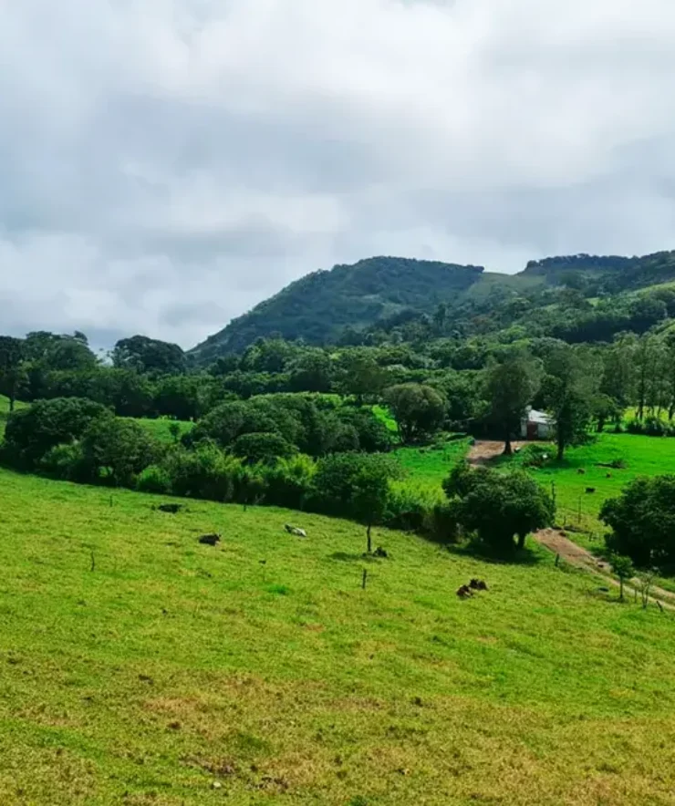 Lotes en Monteverde - Hacienda Monteverde