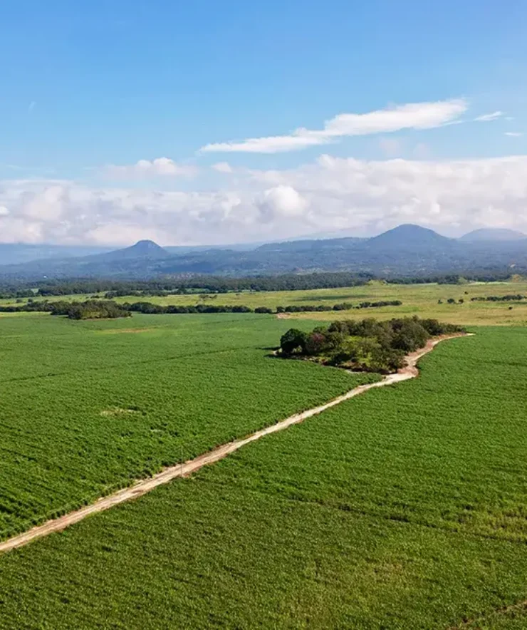 Venta de Lotes y Quintas en Guanacaste, Costa Rica