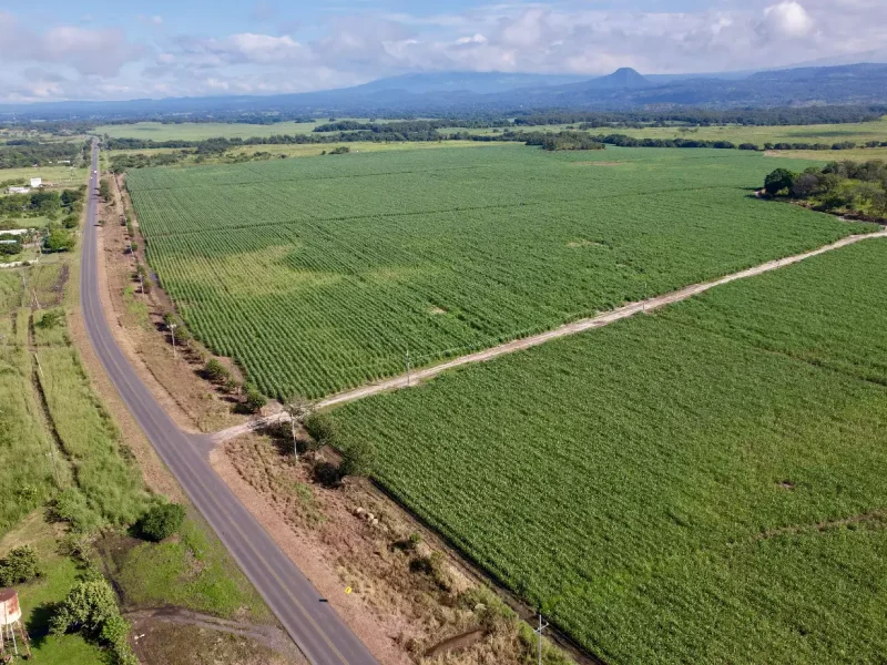 Galeria-Hacienda-Rincon-de-la-Vieja-30.webp