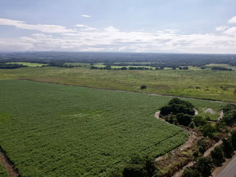 Galeria-Hacienda-Rincon-de-la-Vieja-32.webp